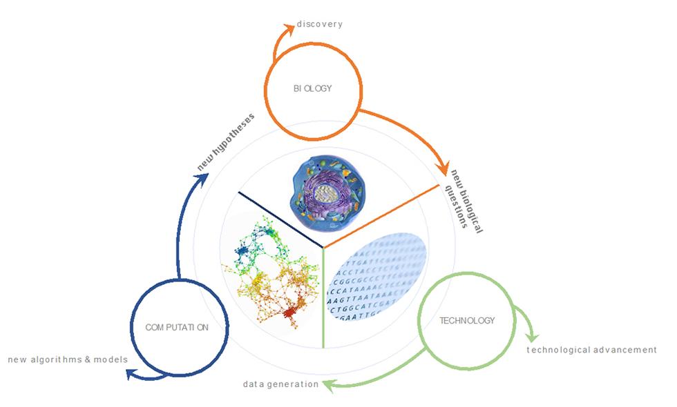 Computational and Systems Biology Biological Sciences University of